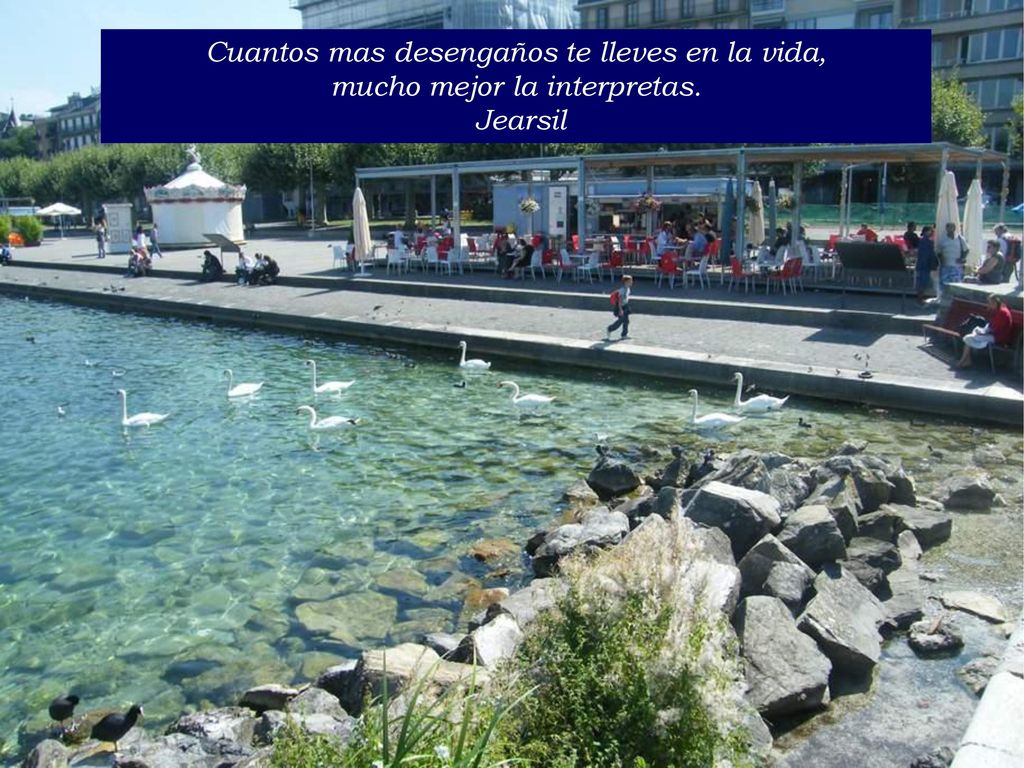 Cuantos mas desengaños te lleves en la vida, mucho mejor la interpretas.