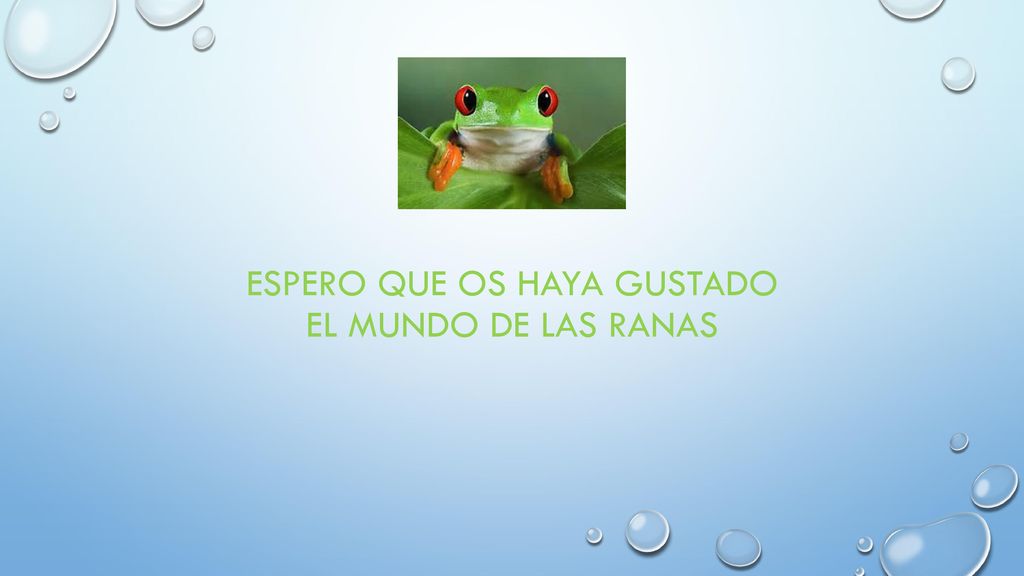 ESPERO QUE OS HAYA GUSTADO EL MUNDO DE LAS RANAS