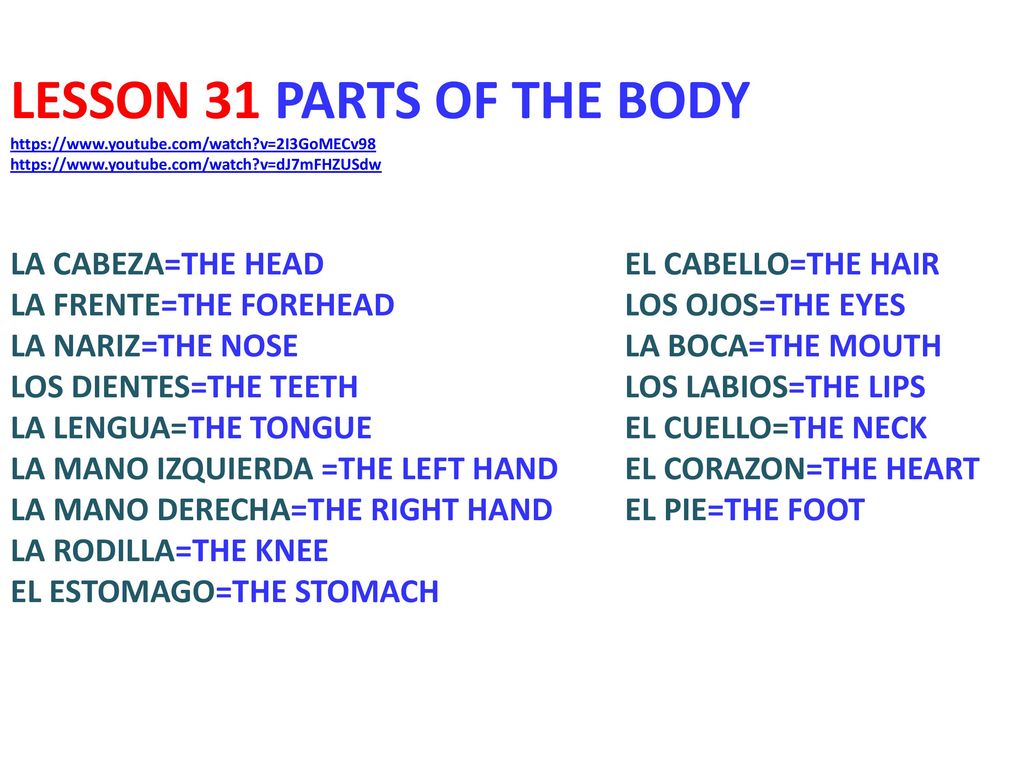 LESSON 31 PARTS OF THE BODY   youtube. com/watch