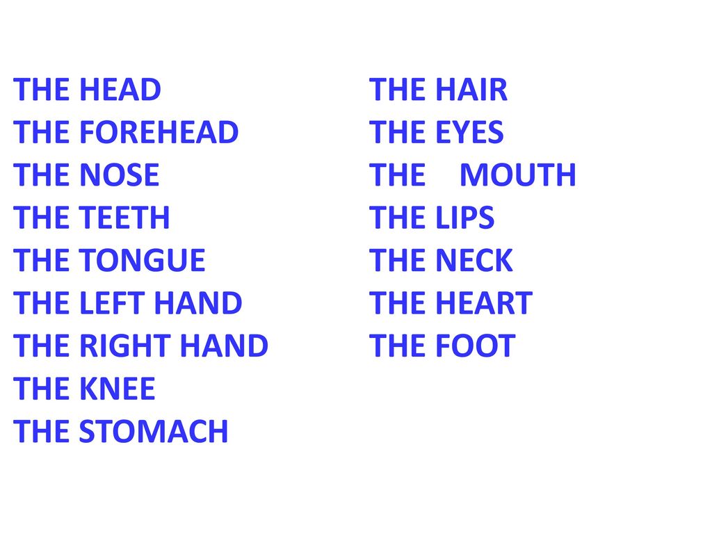 THE HEAD THE HAIR THE FOREHEAD THE EYES THE NOSE THE MOUTH THE TEETH THE LIPS THE TONGUE THE NECK THE LEFT HAND THE HEART THE RIGHT HAND THE FOOT THE KNEE THE STOMACH