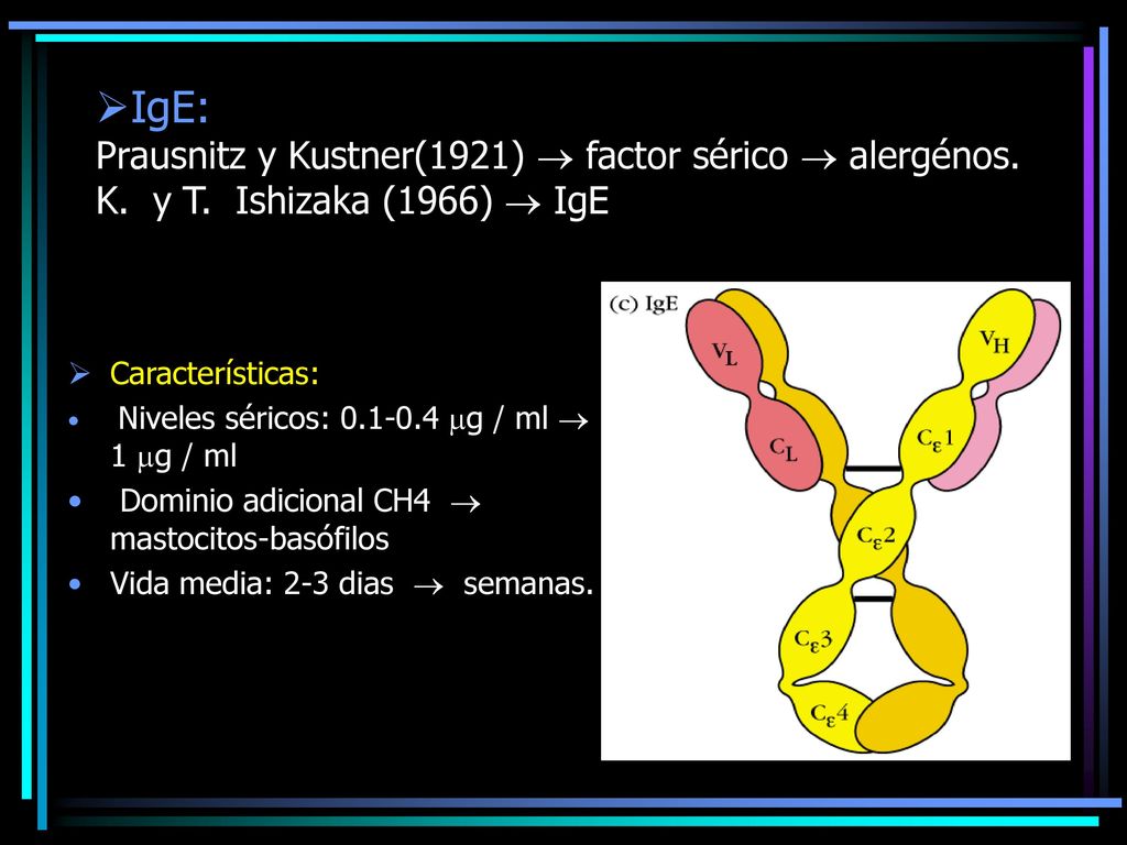 IgE: Prausnitz y Kustner(1921)  factor sérico  alergénos. K. y T