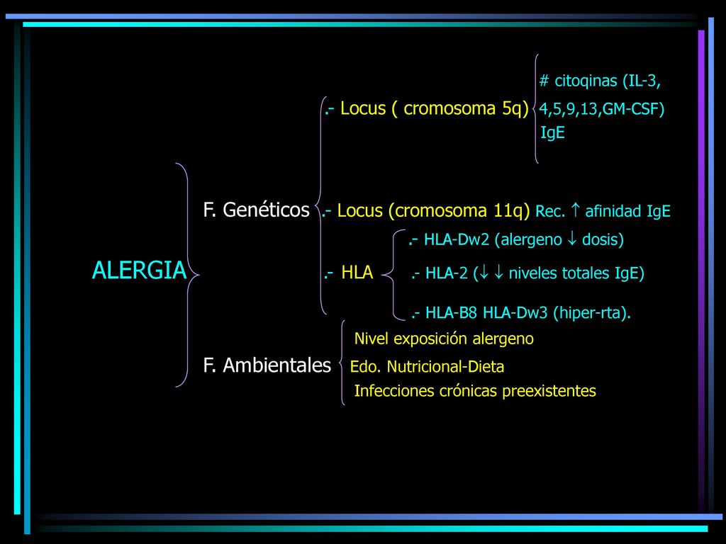 F. Genéticos .- Locus (cromosoma 11q) Rec.  afinidad IgE