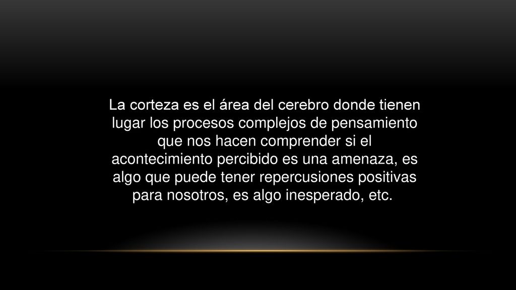 La corteza es el área del cerebro donde tienen lugar los procesos complejos de pensamiento que nos hacen comprender si el acontecimiento percibido es una amenaza, es algo que puede tener repercusiones positivas para nosotros, es algo inesperado, etc.