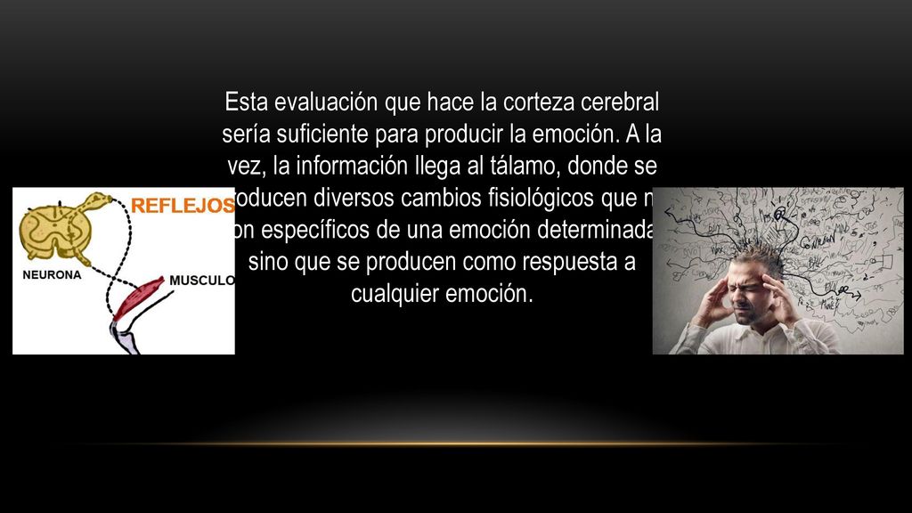 Esta evaluación que hace la corteza cerebral sería suficiente para producir la emoción.