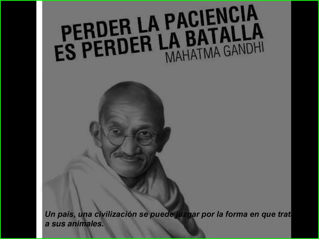 Un país, una civilización se puede juzgar por la forma en que trata a sus animales.