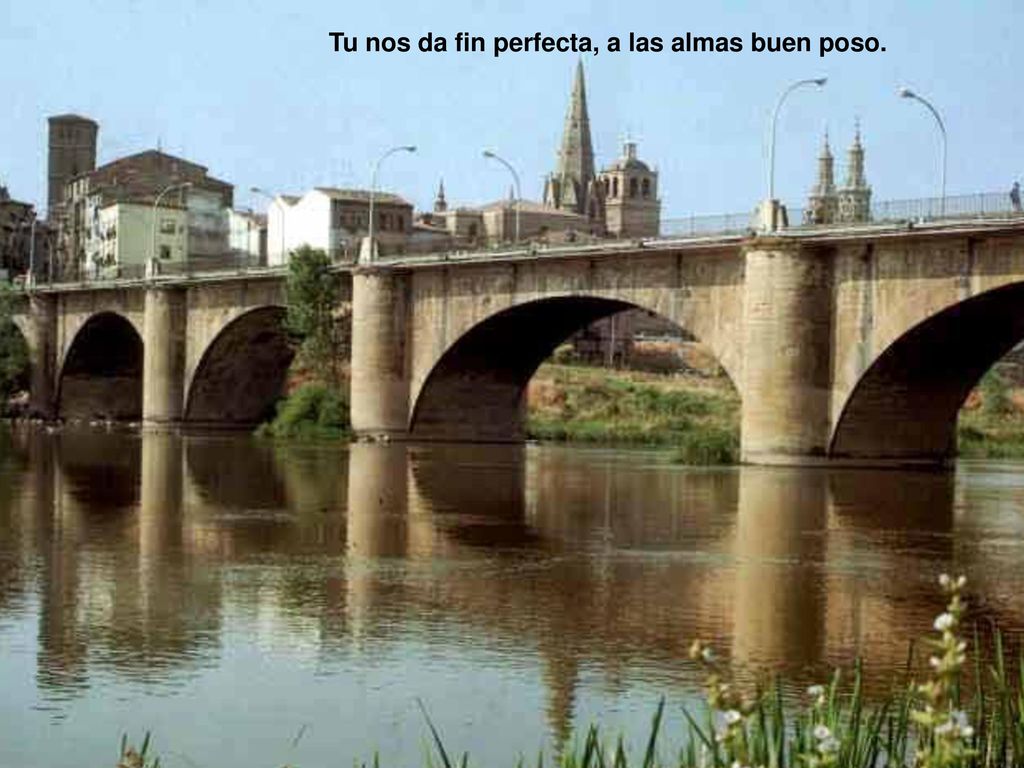 Tu nos da fin perfecta, a las almas buen poso.