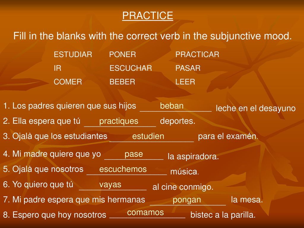 Fill in the blanks with the correct verb in the subjunctive mood.