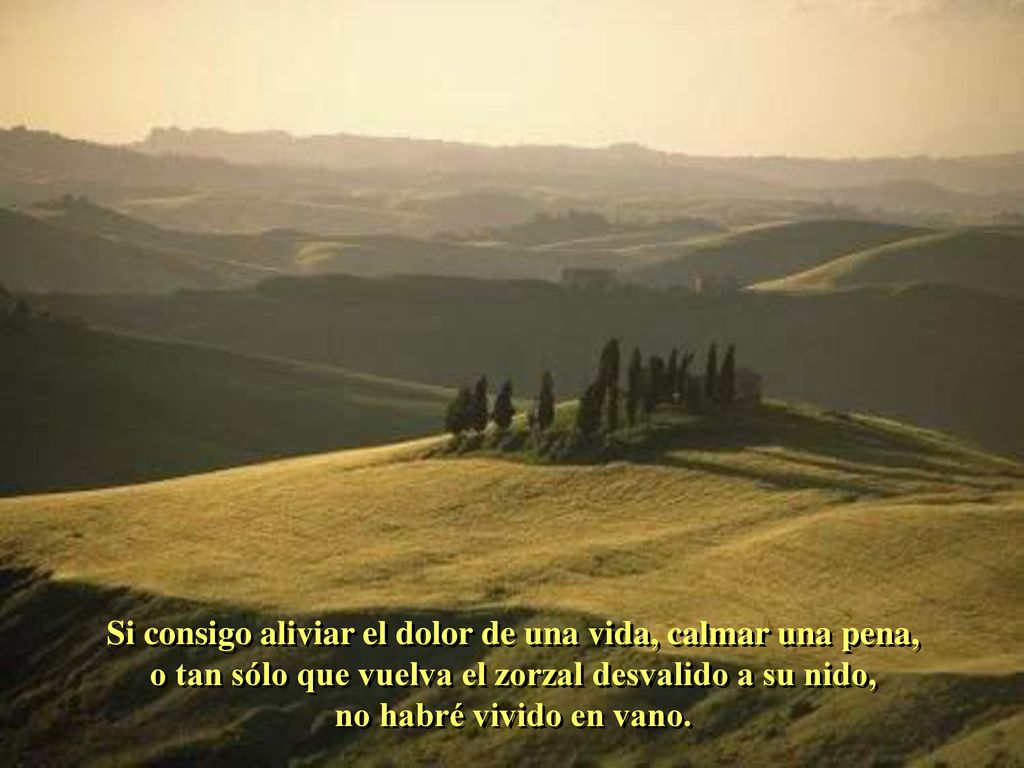 Si consigo aliviar el dolor de una vida, calmar una pena, o tan sólo que vuelva el zorzal desvalido a su nido,