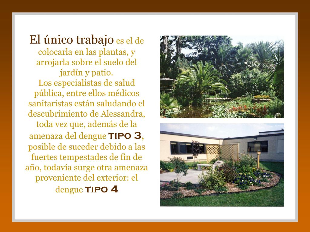 El único trabajo es el de colocarla en las plantas, y arrojarla sobre el suelo del jardín y patio.