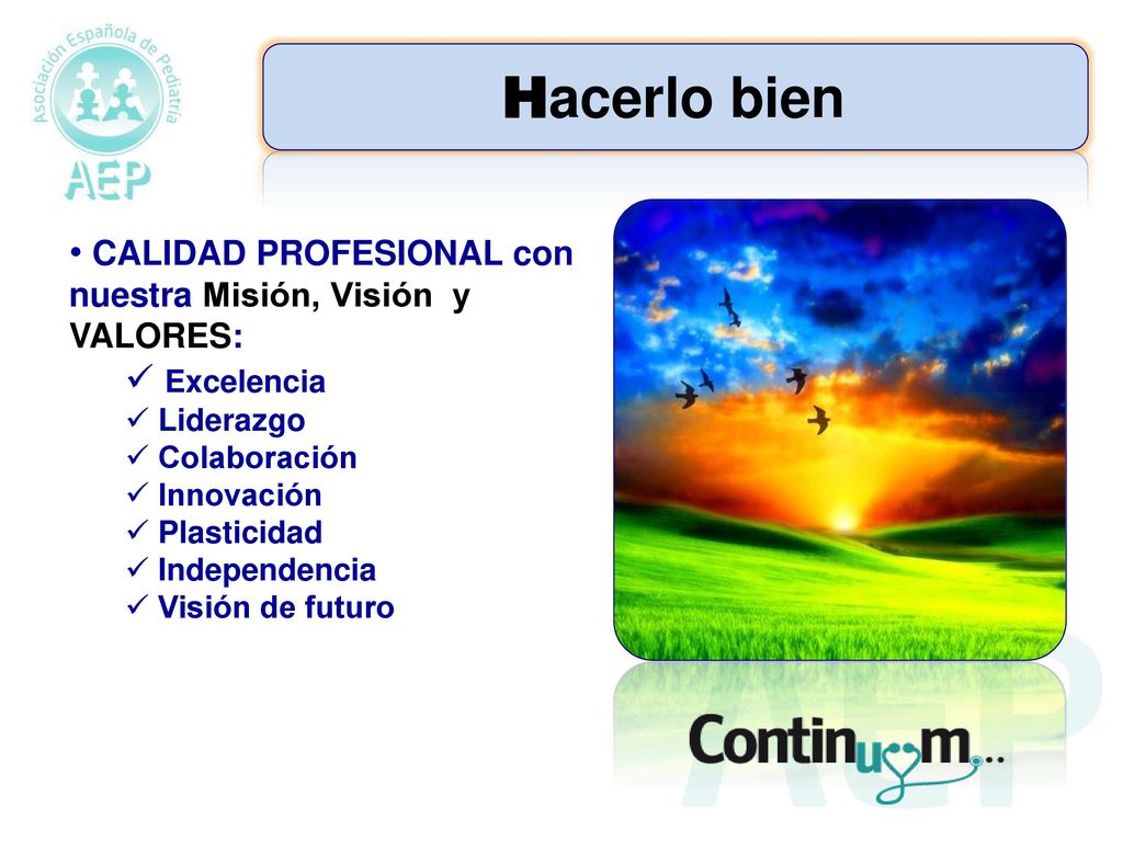 Hacerlo bien CALIDAD PROFESIONAL con nuestra Misión, Visión y VALORES: