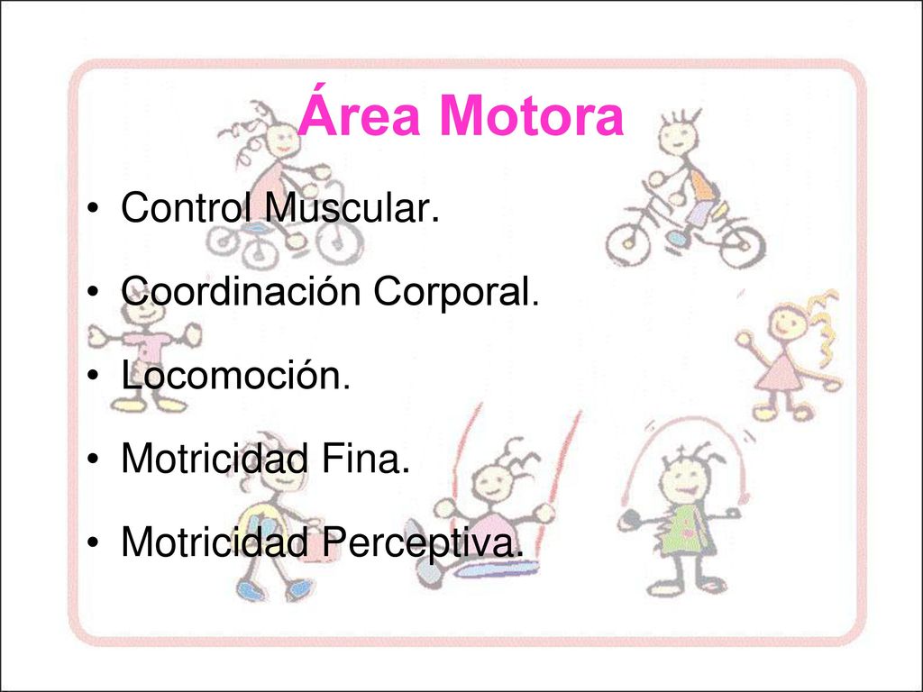 Área Motora Control Muscular. Coordinación Corporal. Locomoción.