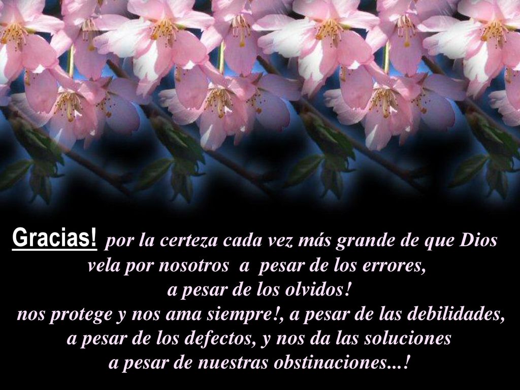 Gracias! por la certeza cada vez más grande de que Dios
