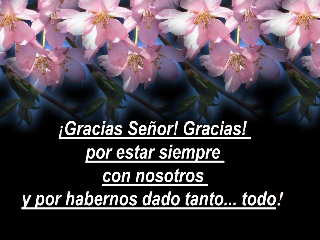 ¡Gracias Señor! Gracias! y por habernos dado tanto... todo!