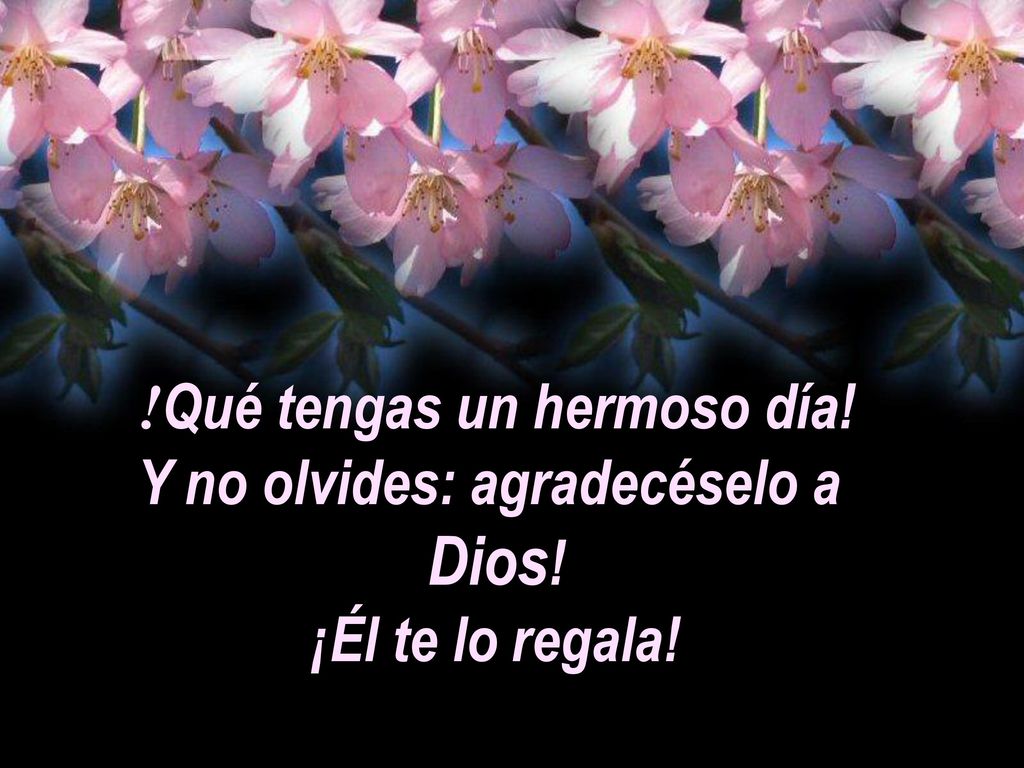!Qué tengas un hermoso día! Y no olvides: agradecéselo a
