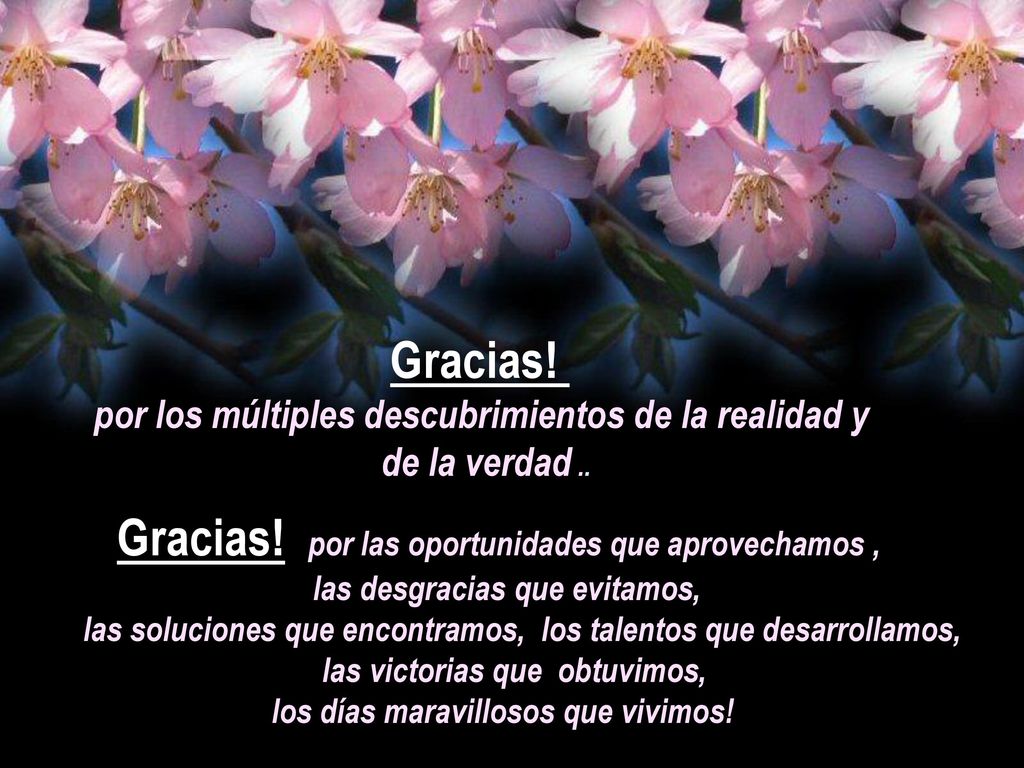 Gracias! Gracias! por las oportunidades que aprovechamos ,