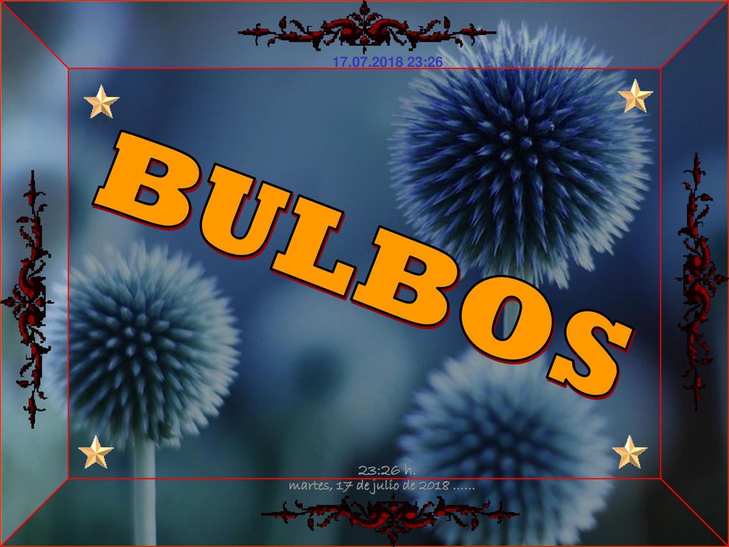 :25 BULBOS 23:25 h. martes, 17 de julio de 2018 ……