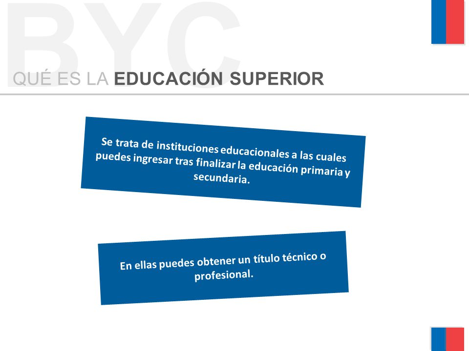 En ellas puedes obtener un título técnico o profesional.