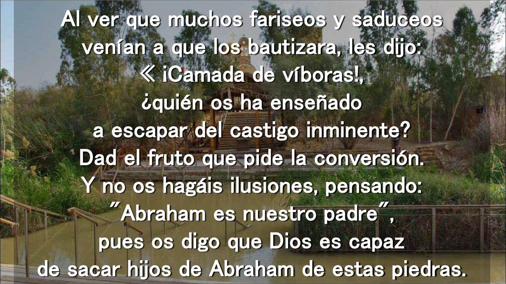 Al ver que muchos fariseos y saduceos venían a que los bautizara, les dijo: « ¡Camada de víboras!, ¿quién os ha enseñado a escapar del castigo inminente.
