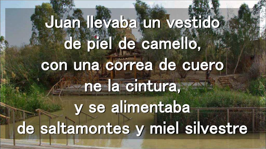 Juan llevaba un vestido de piel de camello, con una correa de cuero ne la cintura, y se alimentaba de saltamontes y miel silvestre