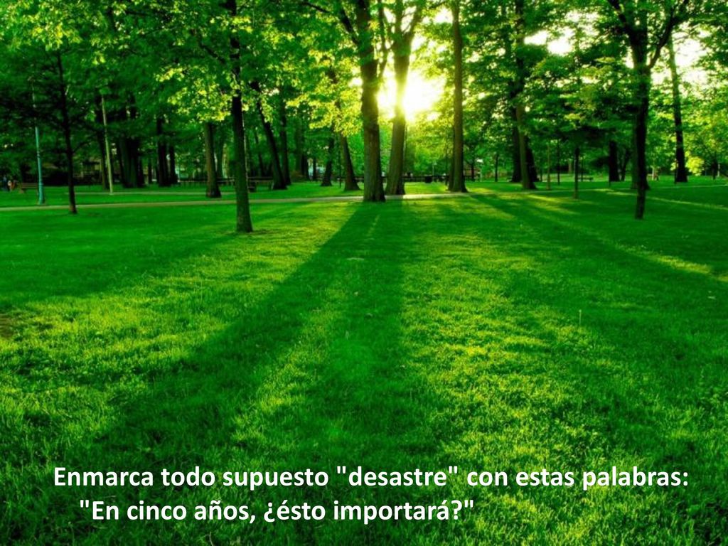 Enmarca todo supuesto desastre con estas palabras: