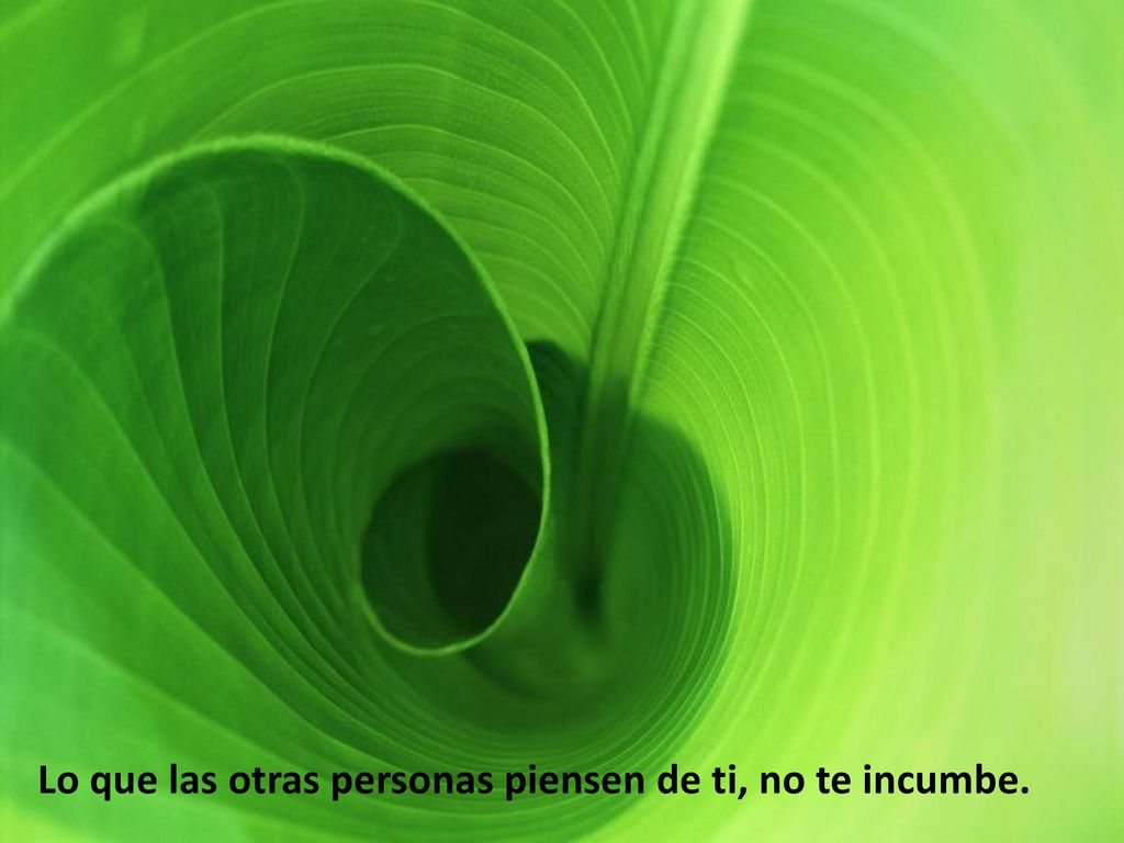 Lo que las otras personas piensen de ti, no te incumbe.