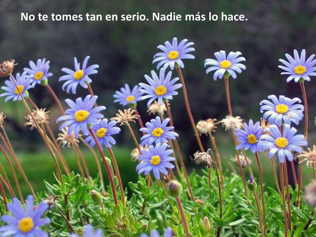 No te tomes tan en serio. Nadie más lo hace.