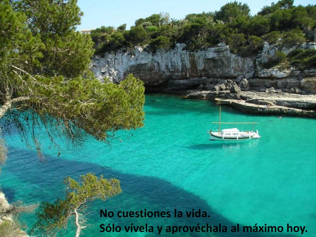No cuestiones la vida. Sólo vívela y aprovéchala al máximo hoy.