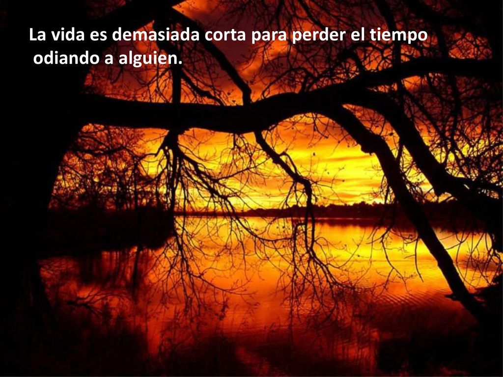 La vida es demasiada corta para perder el tiempo