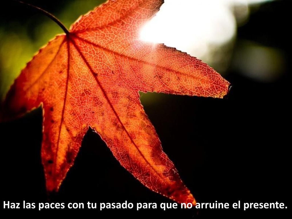Haz las paces con tu pasado para que no arruine el presente.