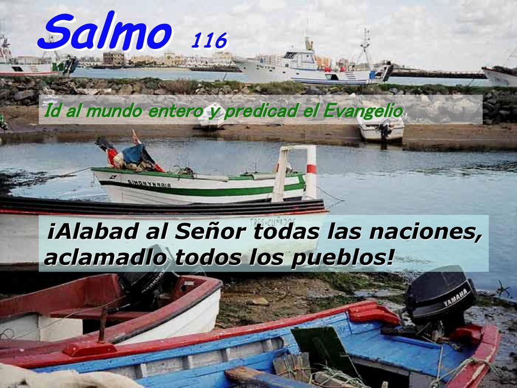 Salmo 116 Id al mundo entero y predicad el Evangelio