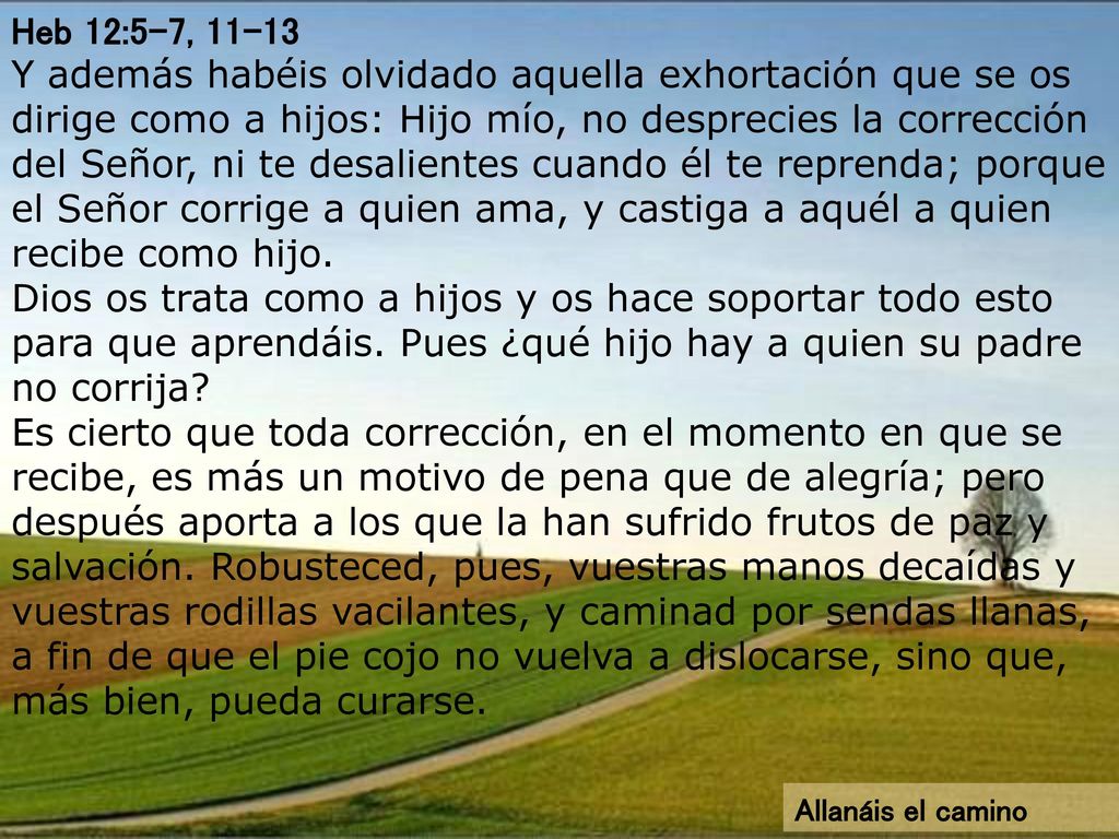 Heb 12:5-7, Y además habéis olvidado aquella exhortación que se os dirige como a hijos: Hijo mío, no desprecies la corrección del Señor, ni te desalientes cuando él te reprenda; porque el Señor corrige a quien ama, y castiga a aquél a quien recibe como hijo. Dios os trata como a hijos y os hace soportar todo esto para que aprendáis. Pues ¿qué hijo hay a quien su padre no corrija Es cierto que toda corrección, en el momento en que se recibe, es más un motivo de pena que de alegría; pero después aporta a los que la han sufrido frutos de paz y salvación. Robusteced, pues, vuestras manos decaídas y vuestras rodillas vacilantes, y caminad por sendas llanas, a fin de que el pie cojo no vuelva a dislocarse, sino que, más bien, pueda curarse.
