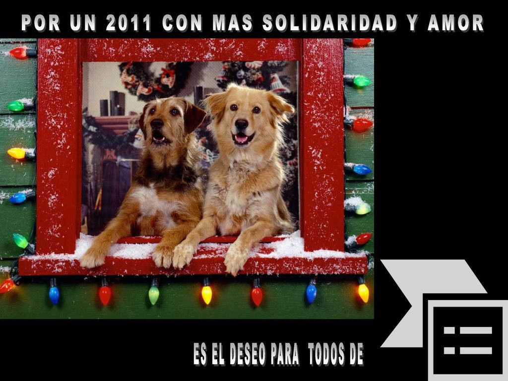 POR UN 2011 CON MAS SOLIDARIDAD Y AMOR ES EL DESEO PARA TODOS DE