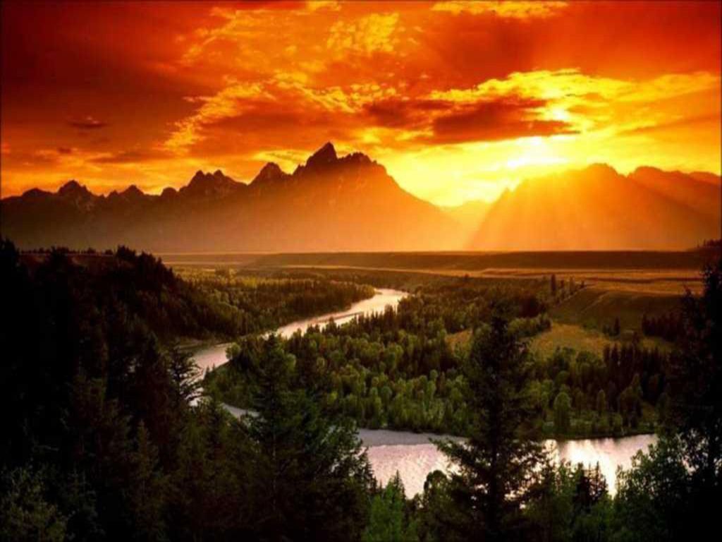 + ¿Para qué sirve la Luz - Para mostrar el camino... la belleza presente en la naturaleza. Sin la luz no las vemos...