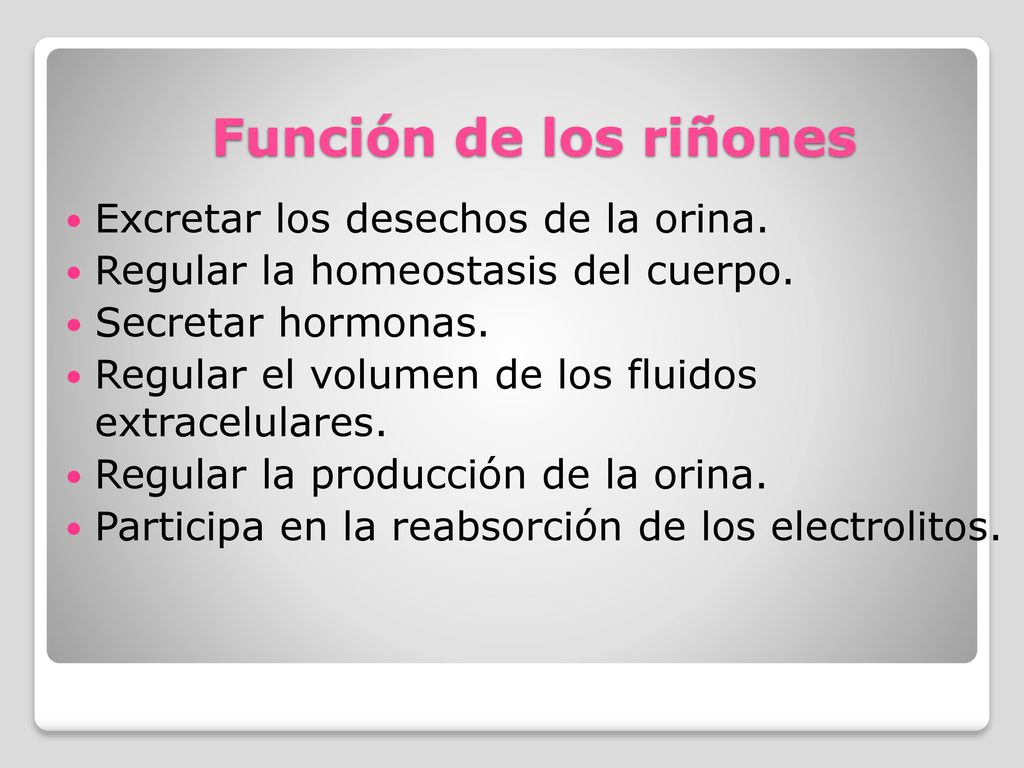Función de los riñones Excretar los desechos de la orina.
