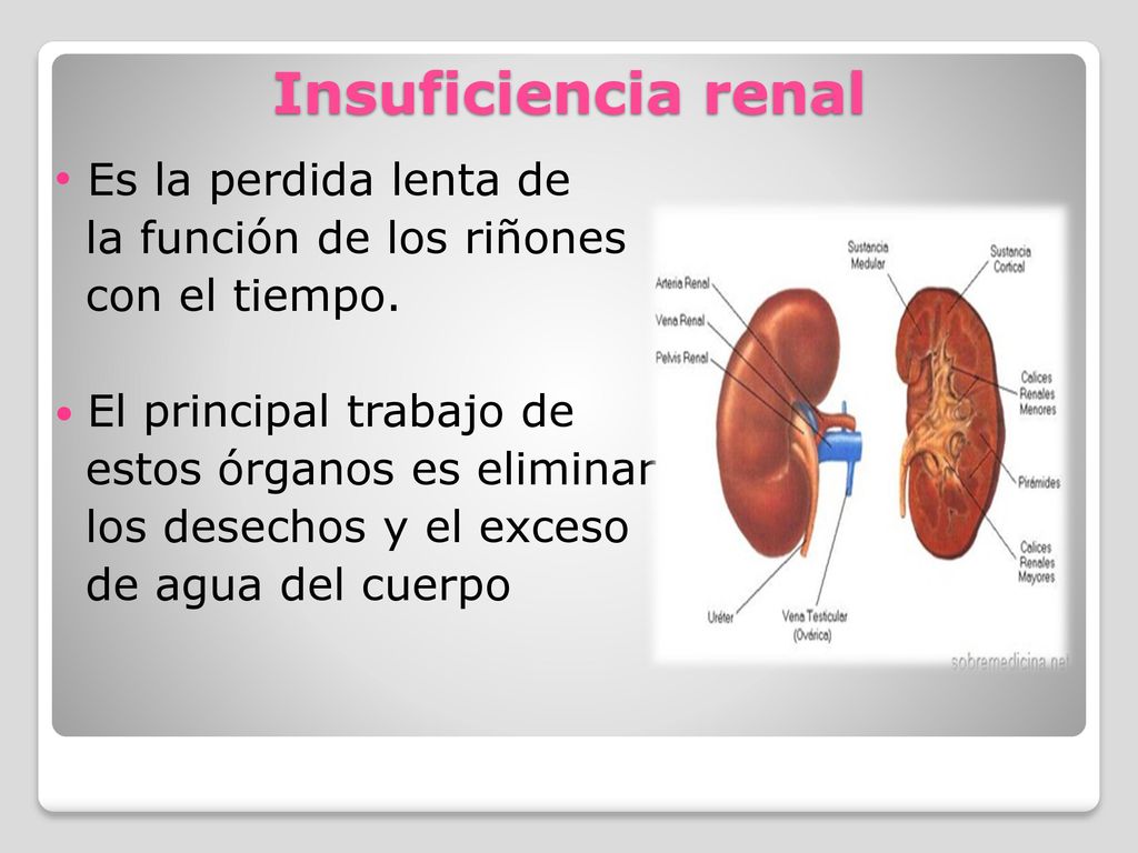 Insuficiencia renal Es la perdida lenta de la función de los riñones