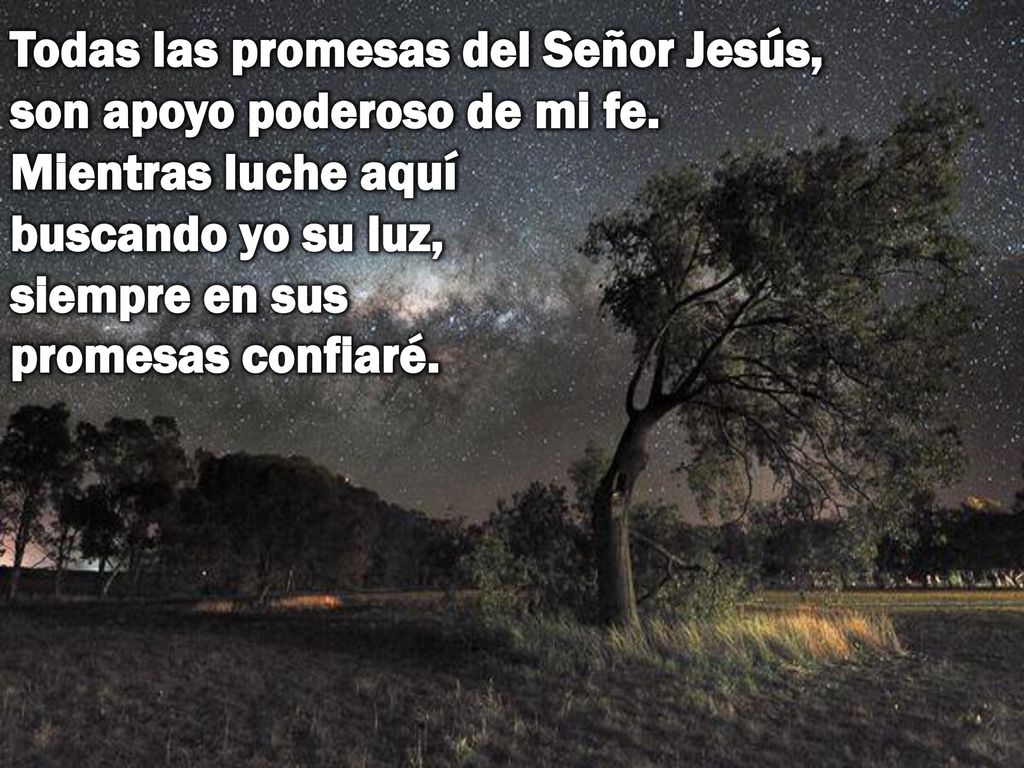 Todas las promesas del Señor Jesús, son apoyo poderoso de mi fe