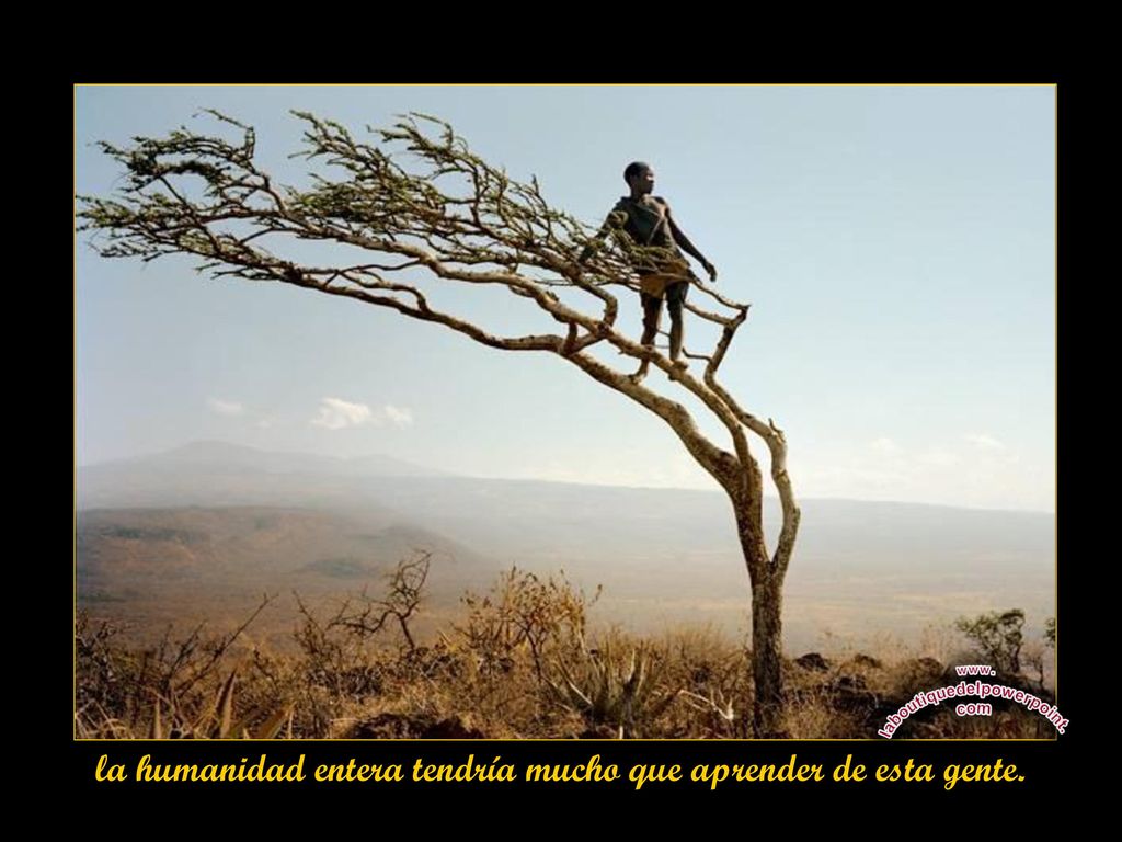 la humanidad entera tendría mucho que aprender de esta gente.