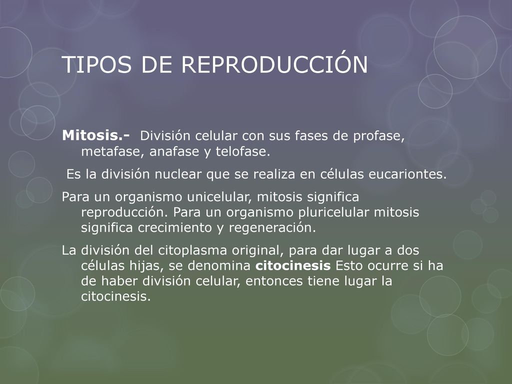 TIPOS DE REPRODUCCIÓN Mitosis.- División celular con sus fases de profase, metafase, anafase y telofase.