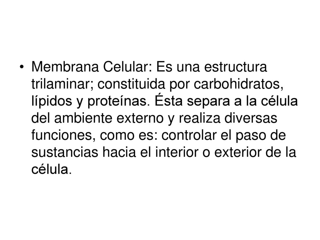Membrana Celular: Es una estructura trilaminar; constituida por carbohidratos, lípidos y proteínas.