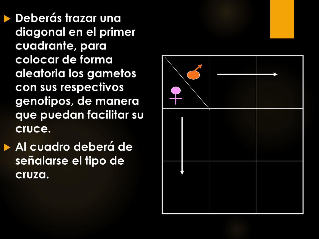 Deberás trazar una diagonal en el primer cuadrante, para colocar de forma aleatoria los gametos con sus respectivos genotipos, de manera que puedan facilitar su cruce.