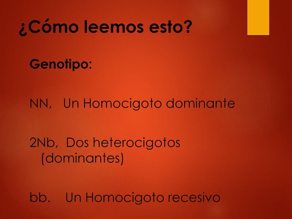 ¿Cómo leemos esto. Genotipo: NN, Un Homocigoto dominante 2Nb, Dos heterocigotos (dominantes) bb.
