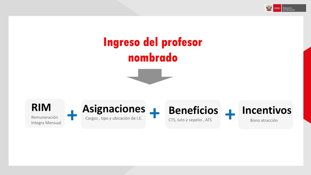 Cargos , tipo y ubicación de I.E.