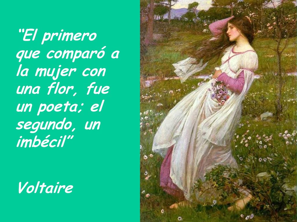 El primero que comparó a la mujer con una flor, fue un poeta; el segundo, un imbécil