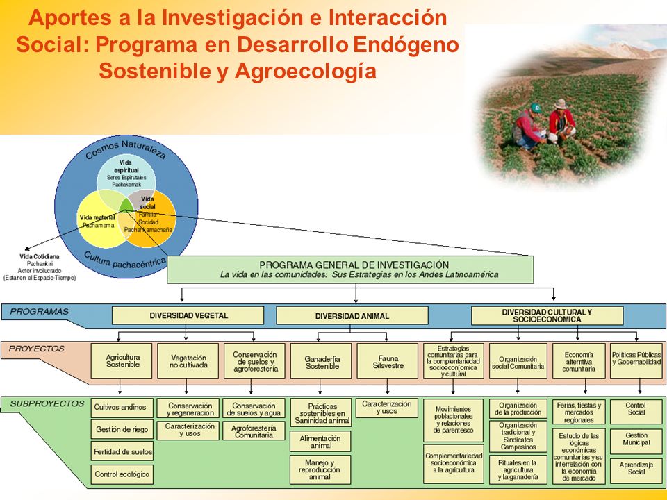 Aportes a la Investigación e Interacción Social: Programa en Desarrollo Endógeno Sostenible y Agroecología