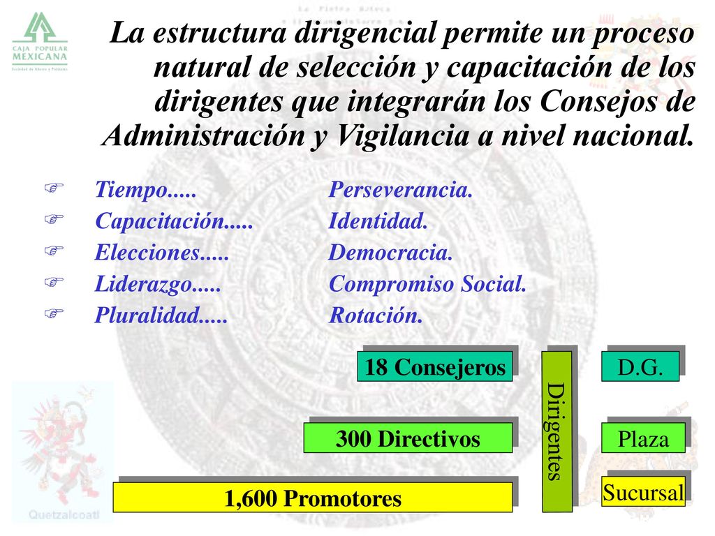 La estructura dirigencial permite un proceso natural de selección y capacitación de los dirigentes que integrarán los Consejos de Administración y Vigilancia a nivel nacional.