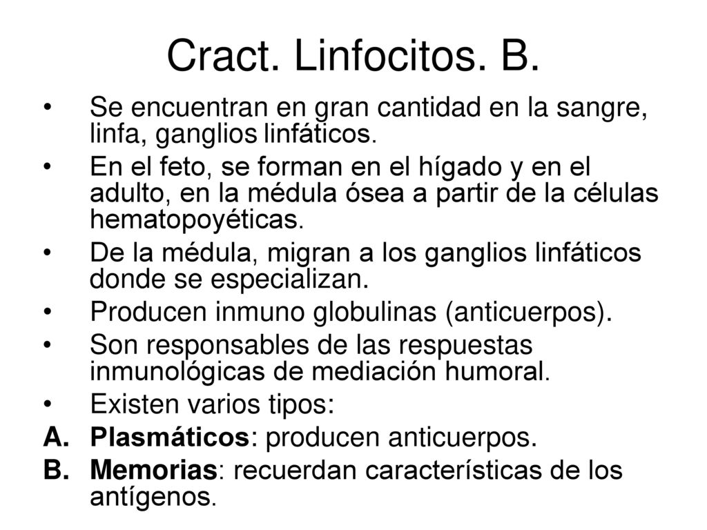 Cract. Linfocitos. B. Se encuentran en gran cantidad en la sangre, linfa, ganglios linfáticos.
