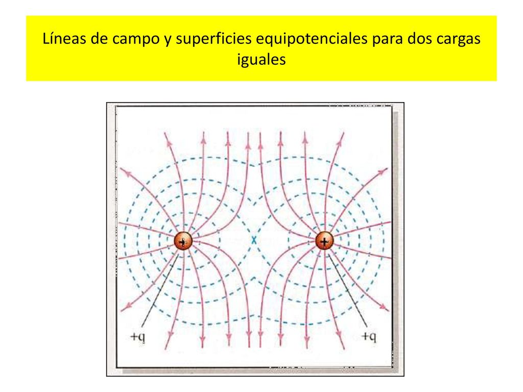 Líneas de campo y superficies equipotenciales para dos cargas iguales