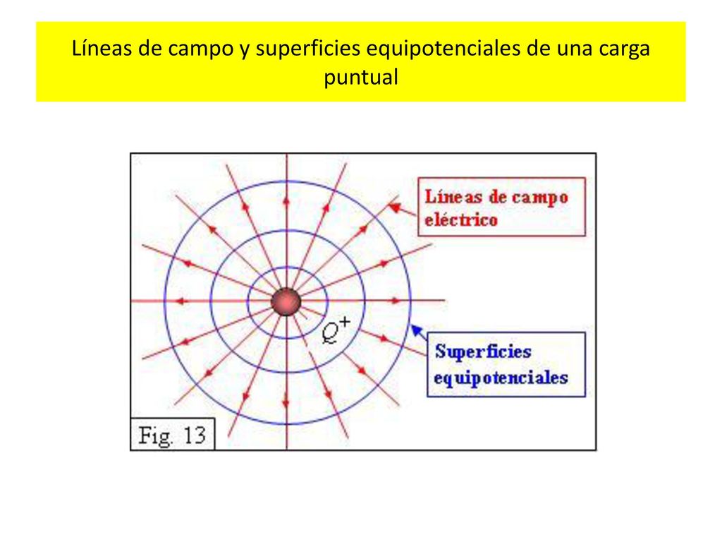 Líneas de campo y superficies equipotenciales de una carga puntual