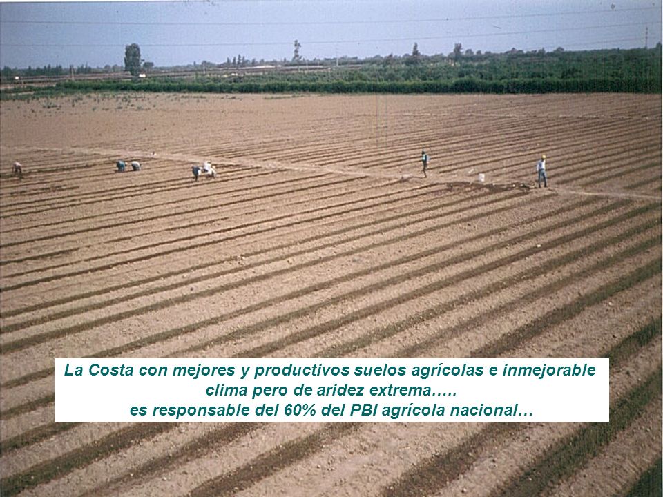 La Costa con mejores y productivos suelos agrícolas e inmejorable