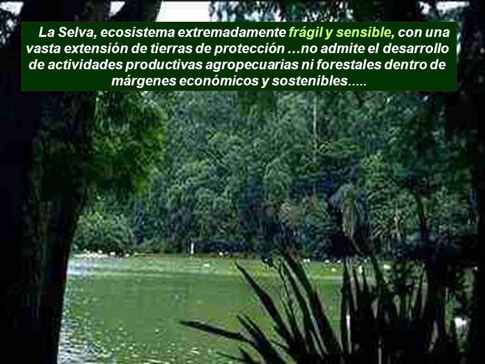 vasta extensión de tierras de protección …no admite el desarrollo